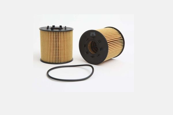 STEP FILTERS HC6922: Õlifilter