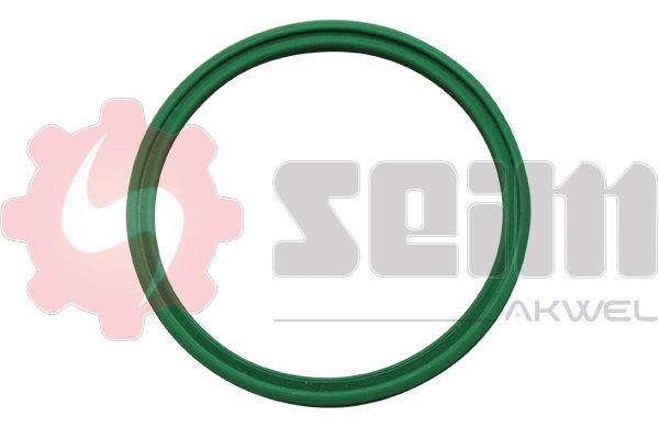 SEIM 981970: Furtun aer supraalimentare