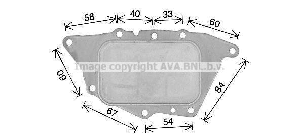 PRASCO BW3594: Radiator ulei, ulei motor fara filtru