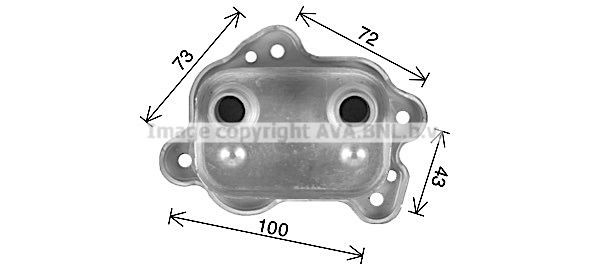 PRASCO BW3595: Radiator ulei, ulei motor