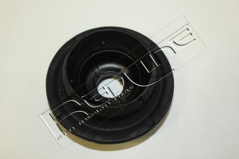 RED-LINE 43HO009: Vedruamordi tugilaager Esisild