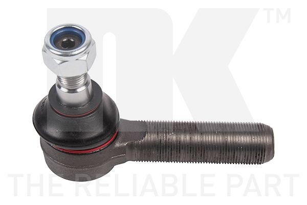 NK 5033998: Cap de bara