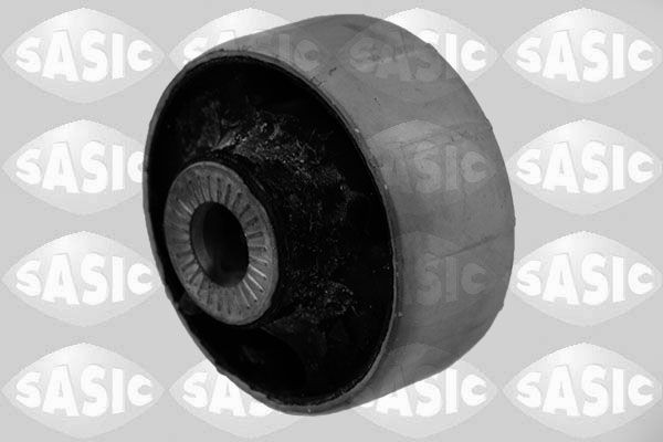 SASIC 2256163: Puks Esisild, taga, all