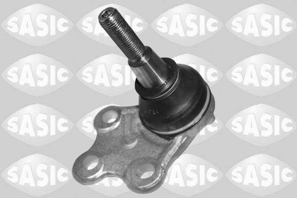 SASIC 7574020: Kande- / juhtliigend Esisild, all