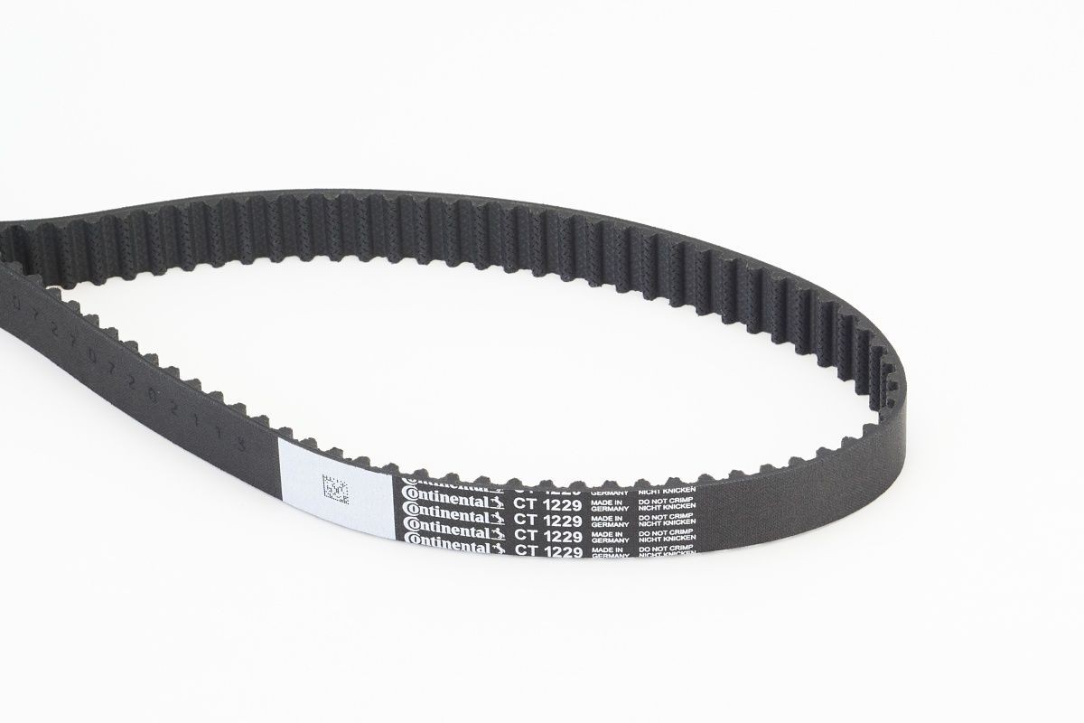 CONTITECH CT1229: Zobsiksna Zobu skaits: 149