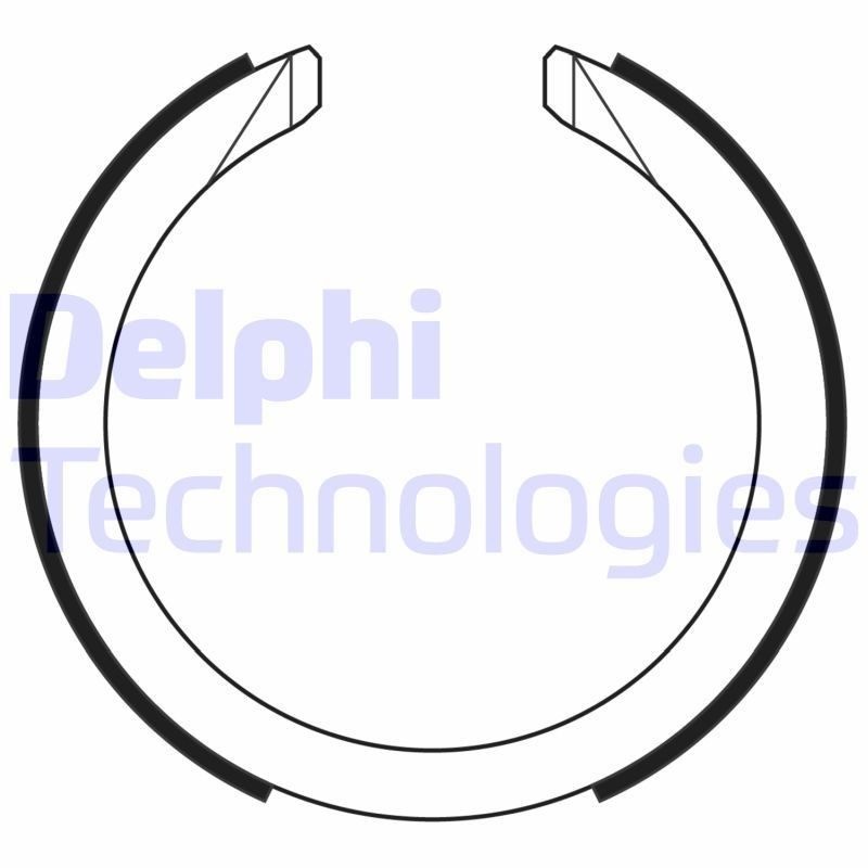 DELPHI LS2169: Piduriklotside komplekt, seisupidur