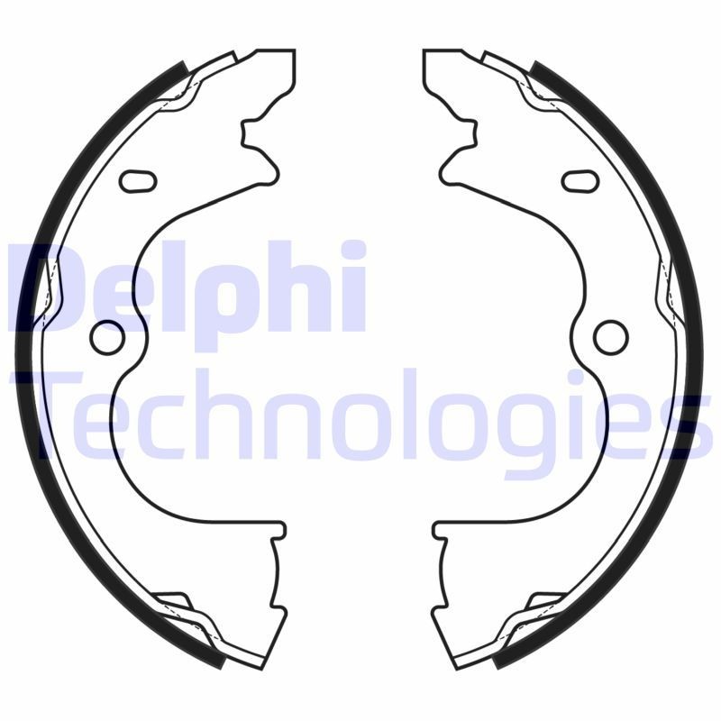 DELPHI LS2173: Piduriklotside komplekt, seisupidur