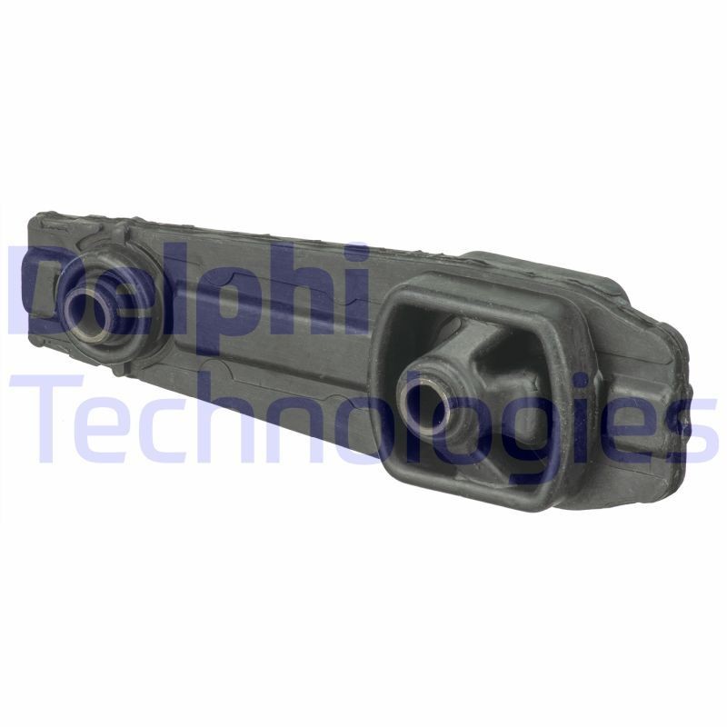 DELPHI TEM073: Motorophæng bag