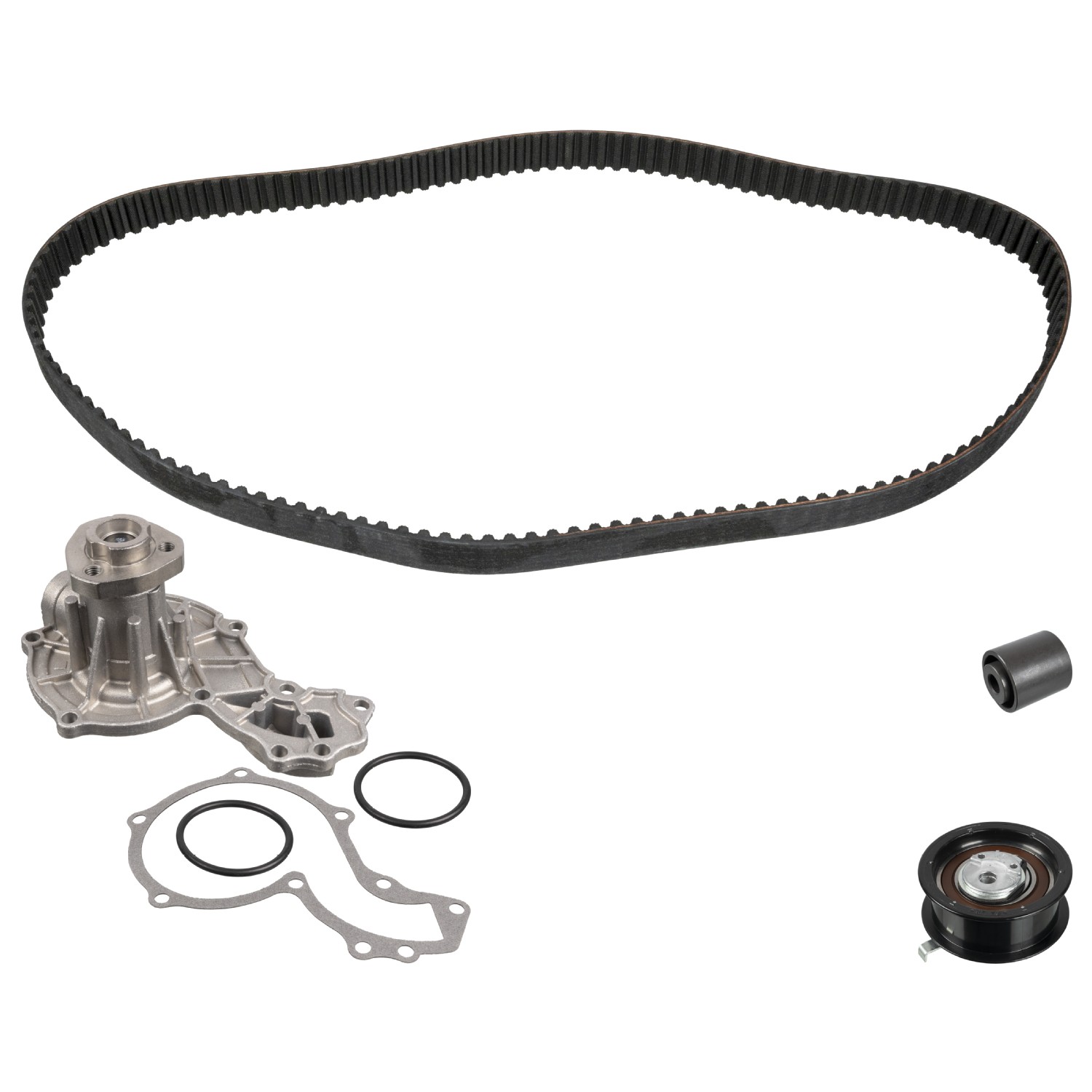 FEBI BILSTEIN 172669: Veepump + hammasrihmakomplekt Hamm.hulk: 137, Laius: 25mm