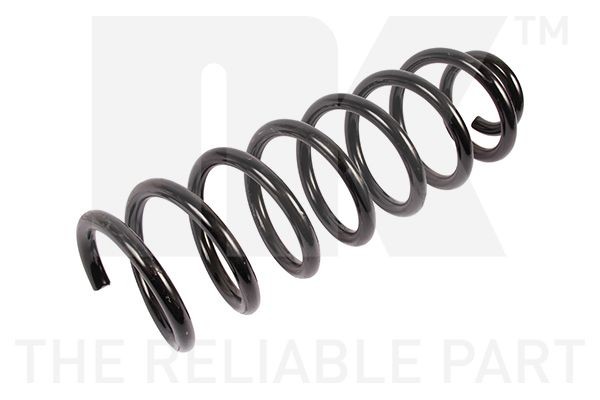 NK 543940: Arc spiral puntea spate, Axa spate dreapta