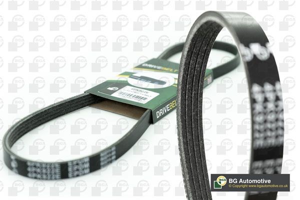 BGA 4PK668: Cinghia servizi 668mm