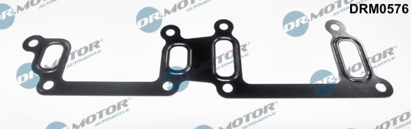DR.MOTOR AUTOMOTIVE DRM0576: Garnitura, teava lichi de racire
