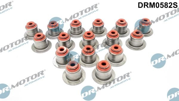 DR.MOTOR AUTOMOTIVE DRM0582S: Set garnituri, ax supape