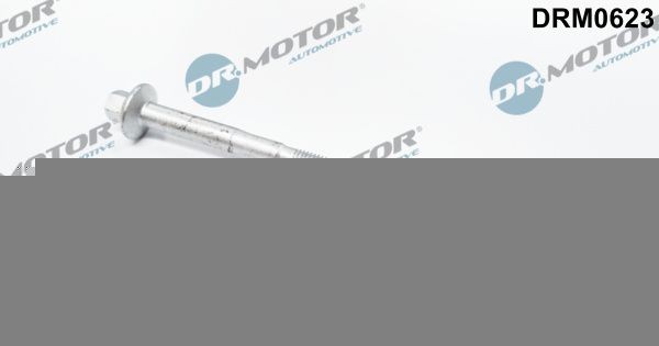 DR.MOTOR AUTOMOTIVE DRM0623: Surub, suport injector
