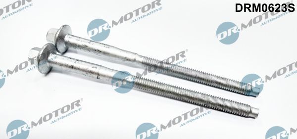 DR.MOTOR AUTOMOTIVE DRM0623S: Surub, suport injector