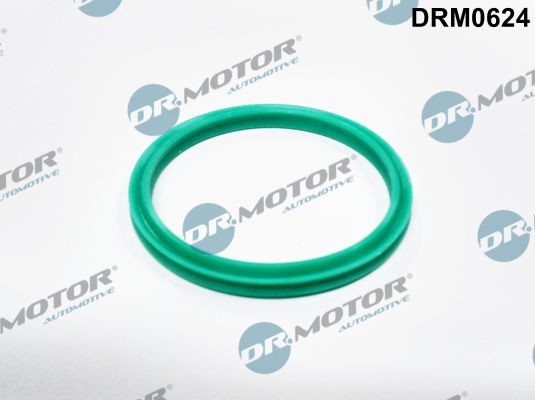 DR.MOTOR AUTOMOTIVE DRM0624: Dichtring, laadluchtslang