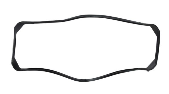 LEMA 25900.10: Garnitura baie ulei