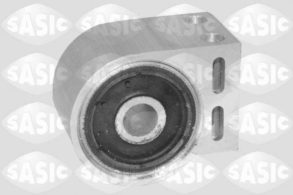 SASIC 2256167: Puks Esisild, taga, all