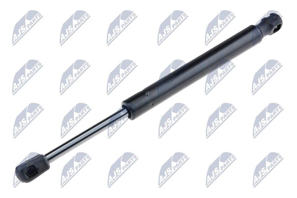 NTY AE-BM-030: Gasveer achterklep 295mm