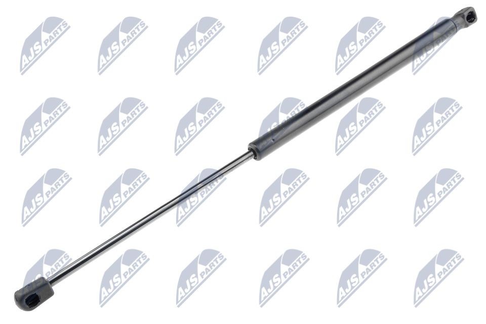 NTY AE-PE-000: Gasveer achterklep 491mm