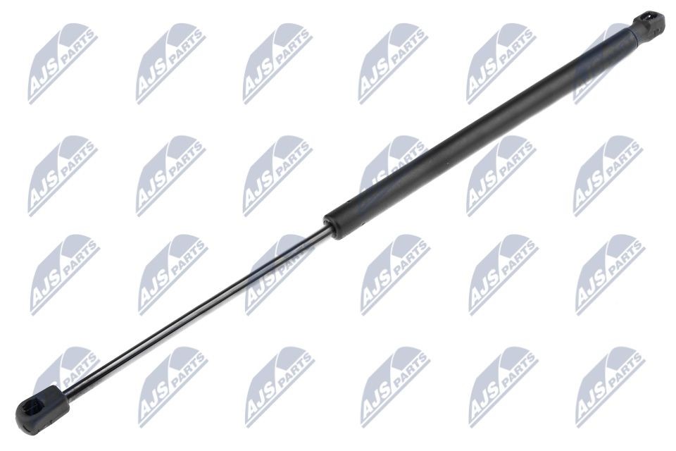NTY AE-SK-007: Gaasivedru, pagasi- / veoruum 491mm