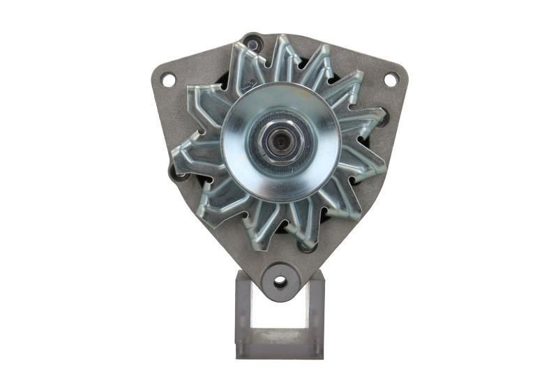 BV PSH 565.003.080.311: Alternator 80A