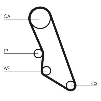 CONTITECH CT865WP1: Vandens siurblio ir paskirstymo diržo komplektas krumplių skaičius: 114, plotis: 25mm