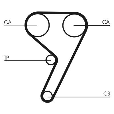 CONTITECH CT881WP5: Pompă apă + kit distribuție dinti: 117, Latime: 22mm, cu șuruburi pentru arborele cu came