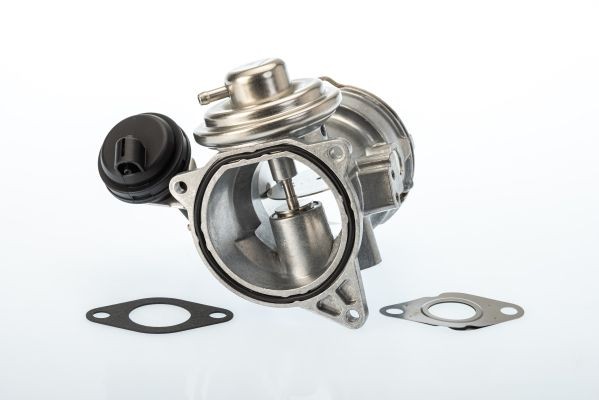 WAHLER 7649D/1: Supapă EGR cu garnituri