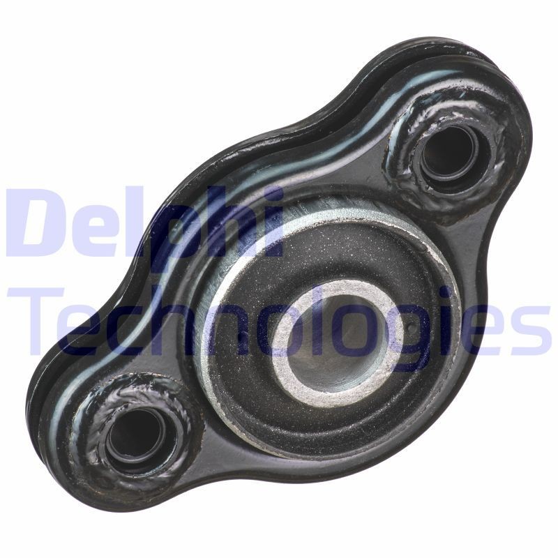 DELPHI TD1865W: Feste, styrestag