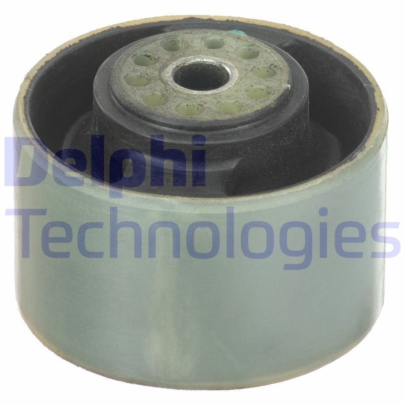 DELPHI TEM193: Motorkudde Fram
