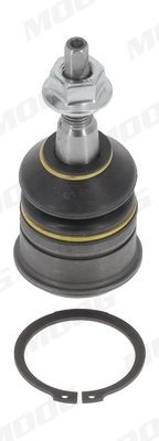 MOOG CH-BJ-17289: Šarnyras 18mm