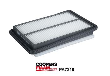COOPERSFIAAM FILTERS PA7319: Filtru aer