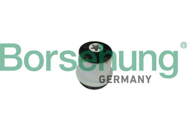 Borsehung B10030: Akselinripustus Taka-akseli