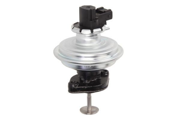 ENGITECH ENT500073: Supapă EGR