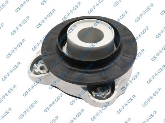 GSP 534038: Vedruamordi tugilaager