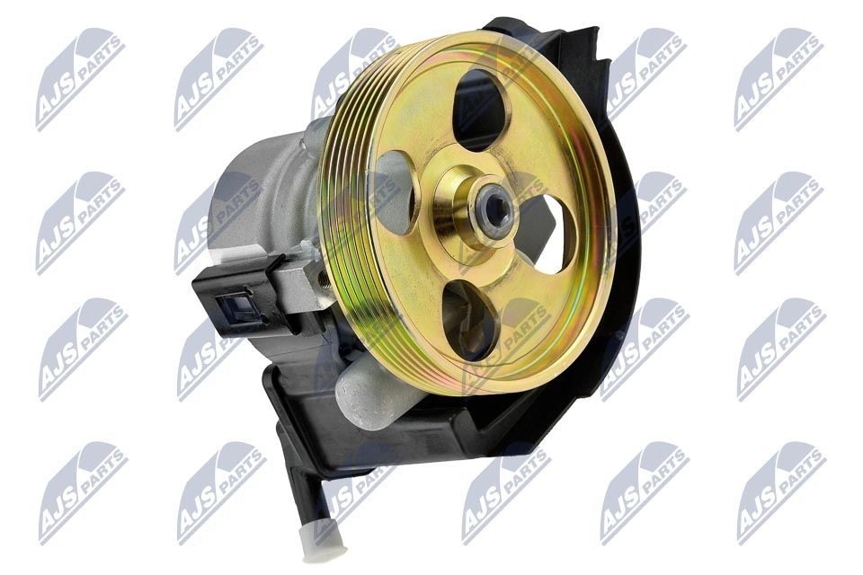 NTY SPW-CT-029: Roolivõimu pump