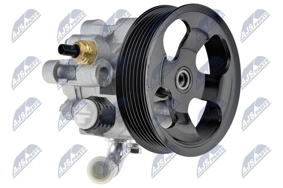 NTY SPW-TY-021: Roolivõimu pump