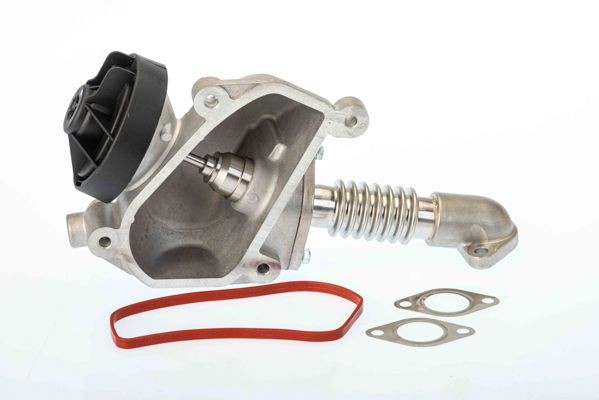 WAHLER 7206D: Supapă EGR cu garnituri