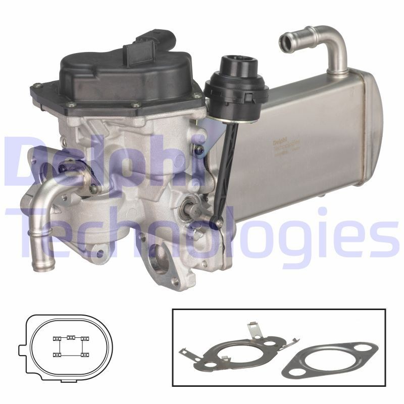 DELPHI EG10576-12B1: EGR-klapp EGR- jahutiga