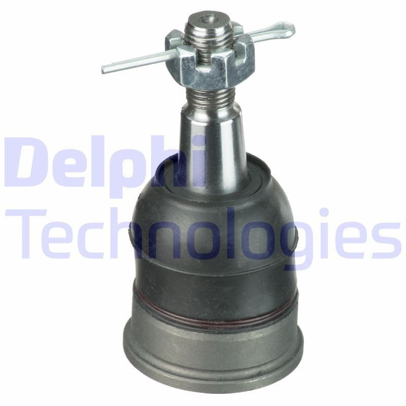 DELPHI TC2900: Šarnyras