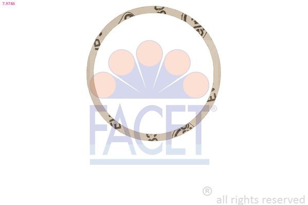 FACET 7.9746: Pakking, thermostaat Made in Italy - OE Equivalent