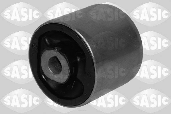 SASIC 2256172: Puks Esisild, taga, all