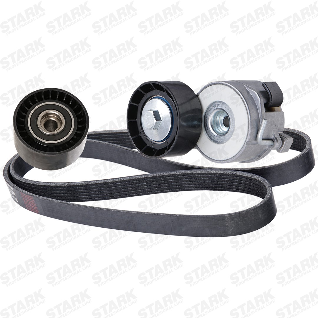 STARK SKRBS-1200886: Poly V-riem set