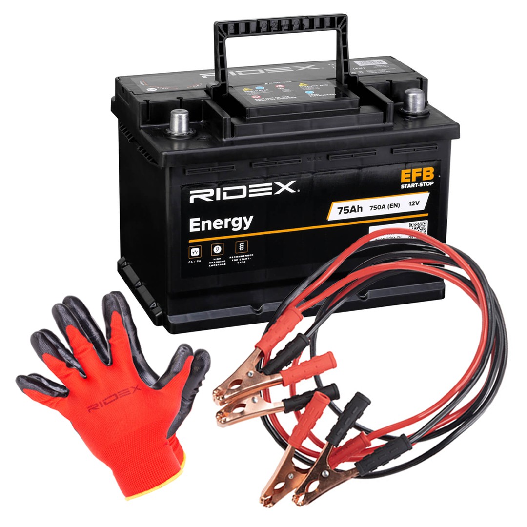 RIDEX 1S0282: Batteri