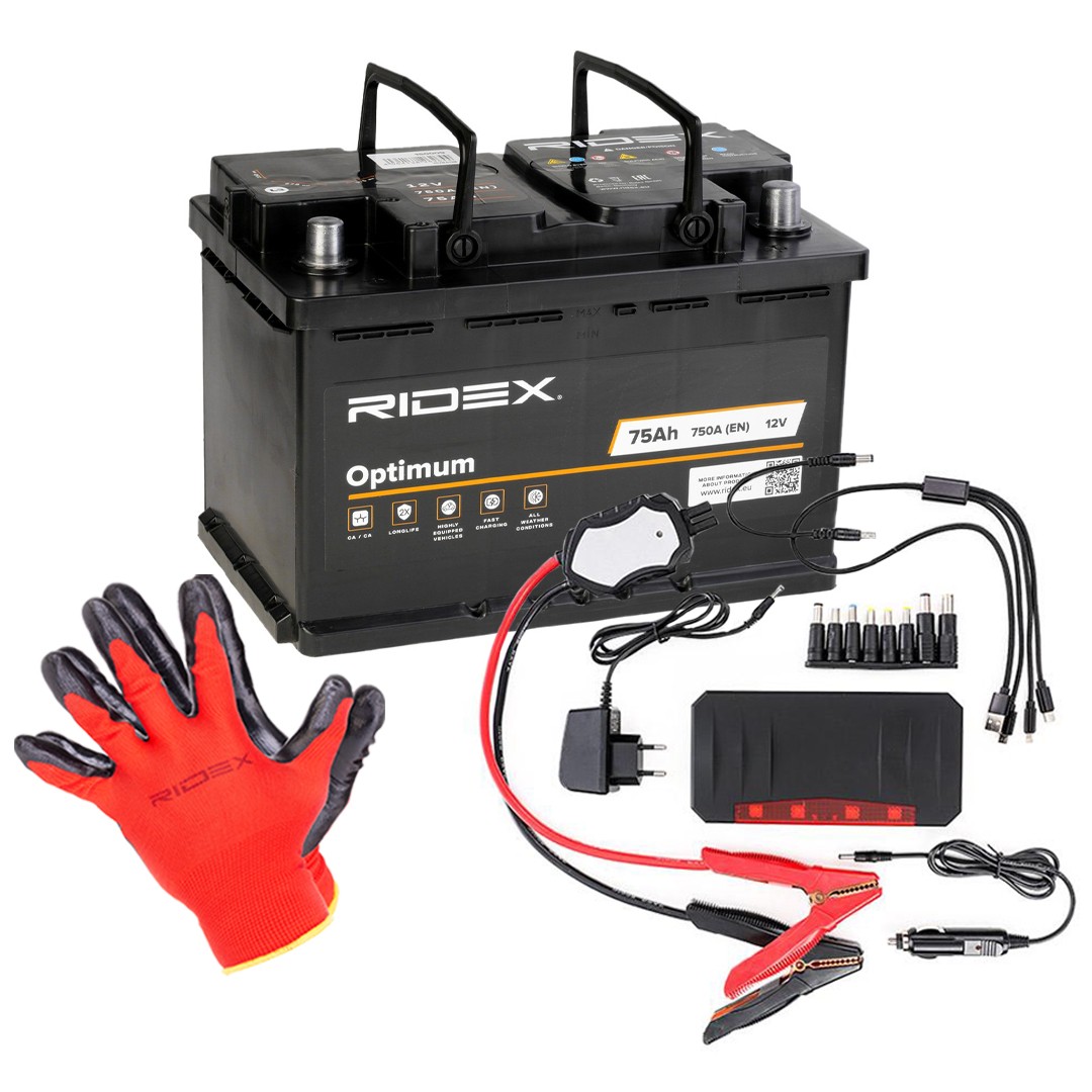 RIDEX 1S0286: Baterie de pornire