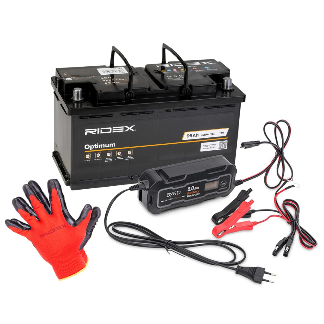 RIDEX 1S0297: Batteria