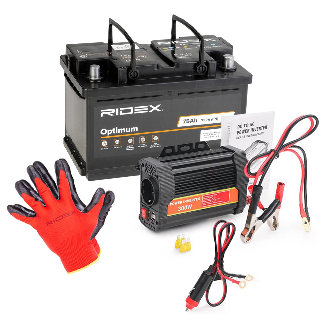 RIDEX 1S0308: Batterie