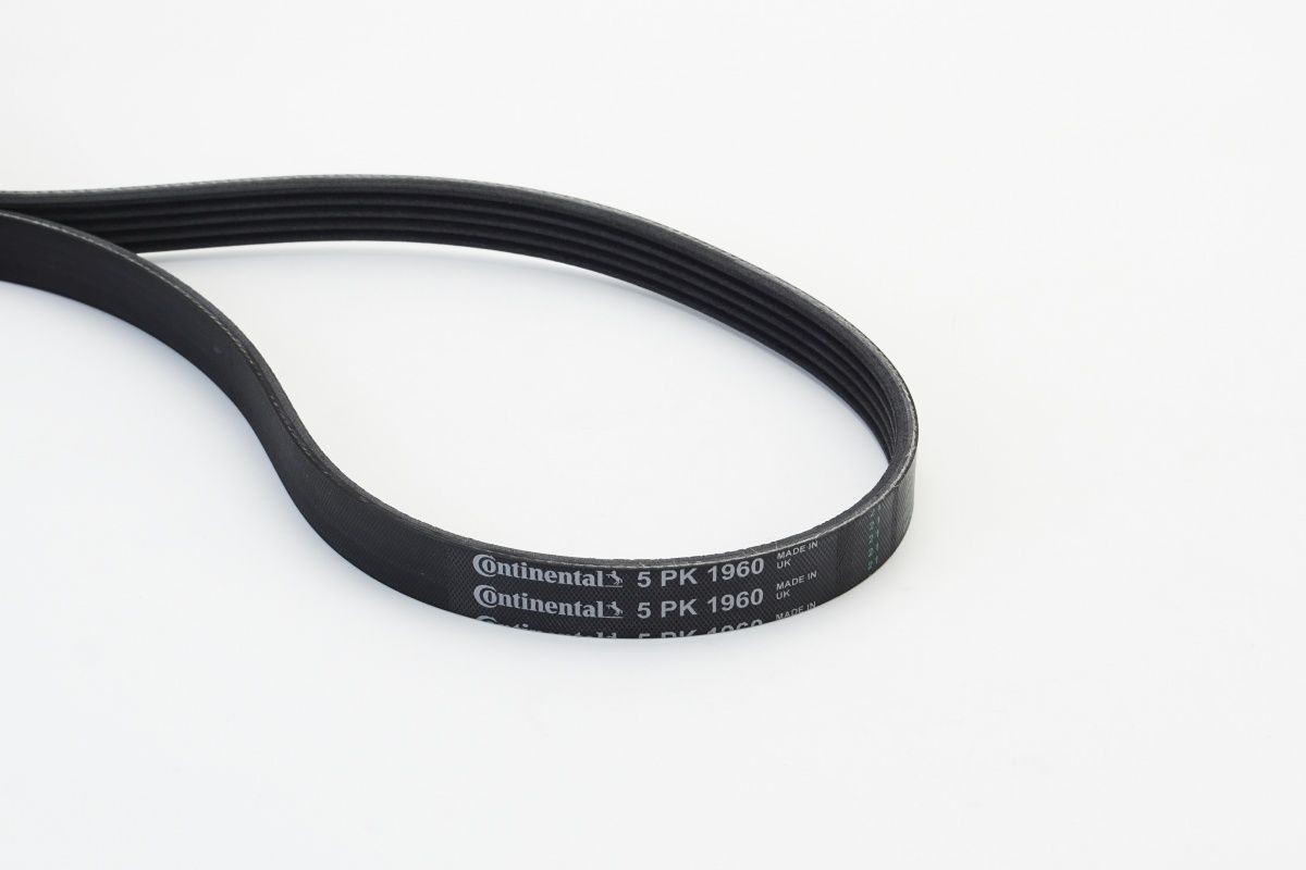CONTITECH 5PK1960: Multireim 1960mm, Ribbeantall: 5