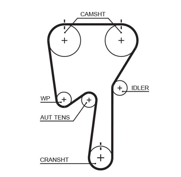 GATES T331RB: Curea de distributie RPM Racing Timing Belt dinti: 142, 1353mm